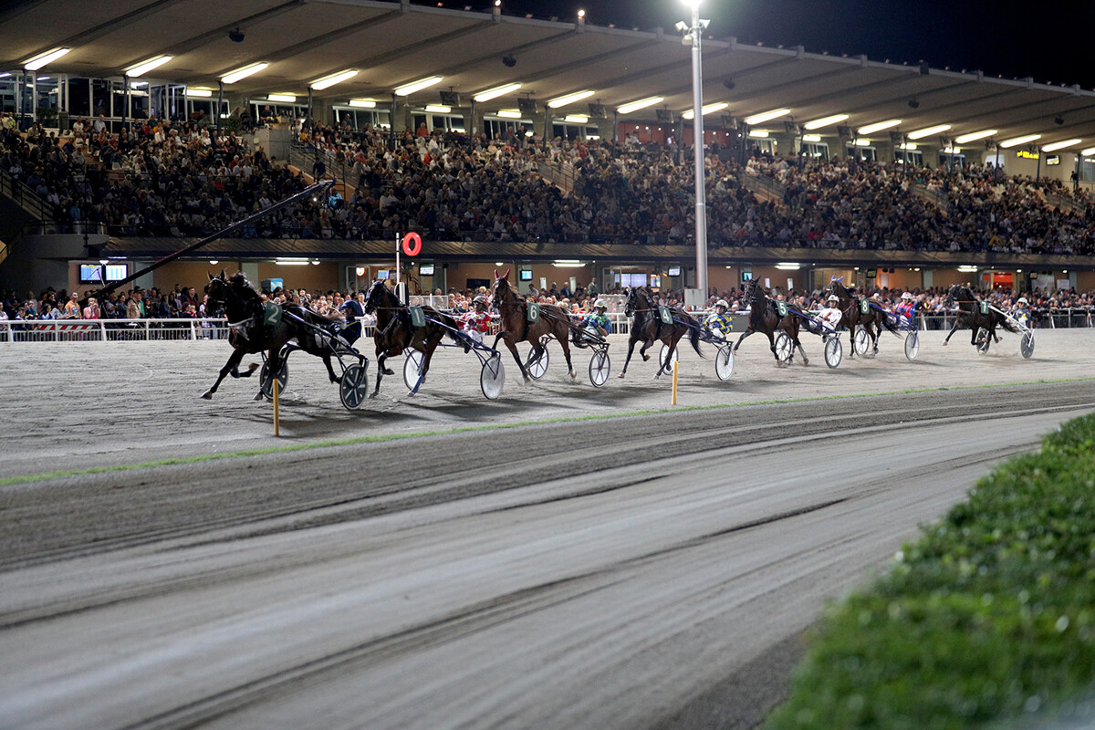 Cavallo muore in corsa all’ippodromo del Savio