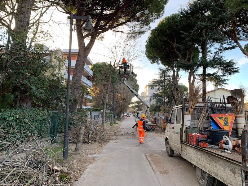 Quartiere Boschetto, finite le potature in via Sassari e in viale Abba