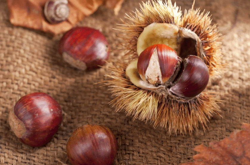 Il prodotto scarseggia, prezzi alle stelle per le castagne