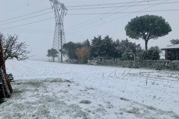 neve cesenatico 20222