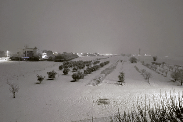 neve-cesenatico-2022