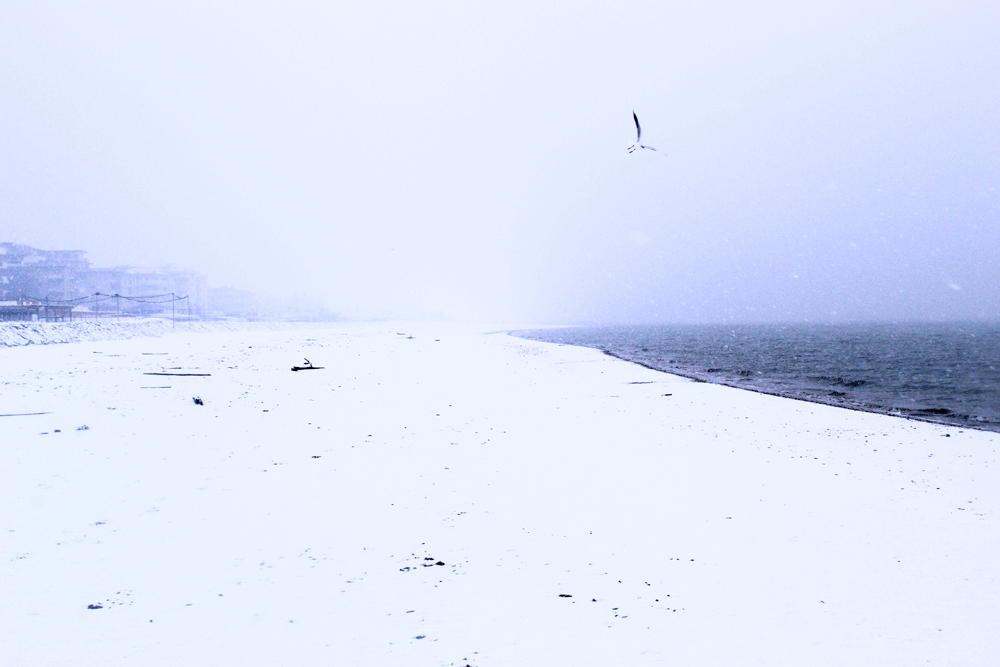 Neve a Cesenatico, gli aggiornamenti sulla situazione