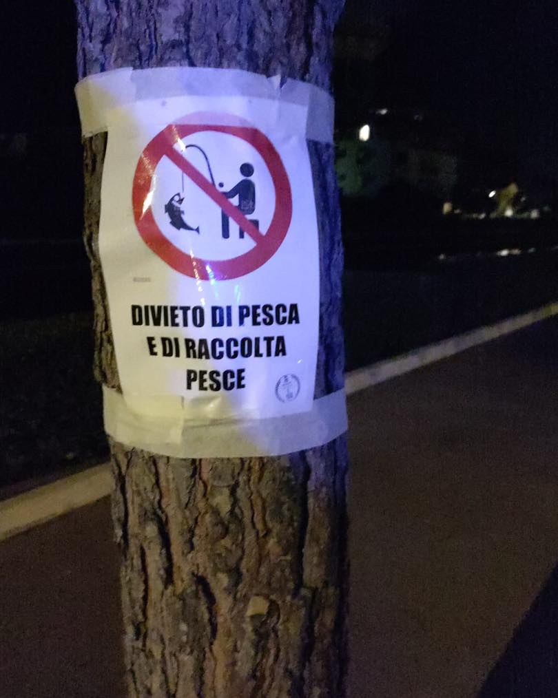 Da ieri sera anomala morìa di pesci nella vena Mazzarini