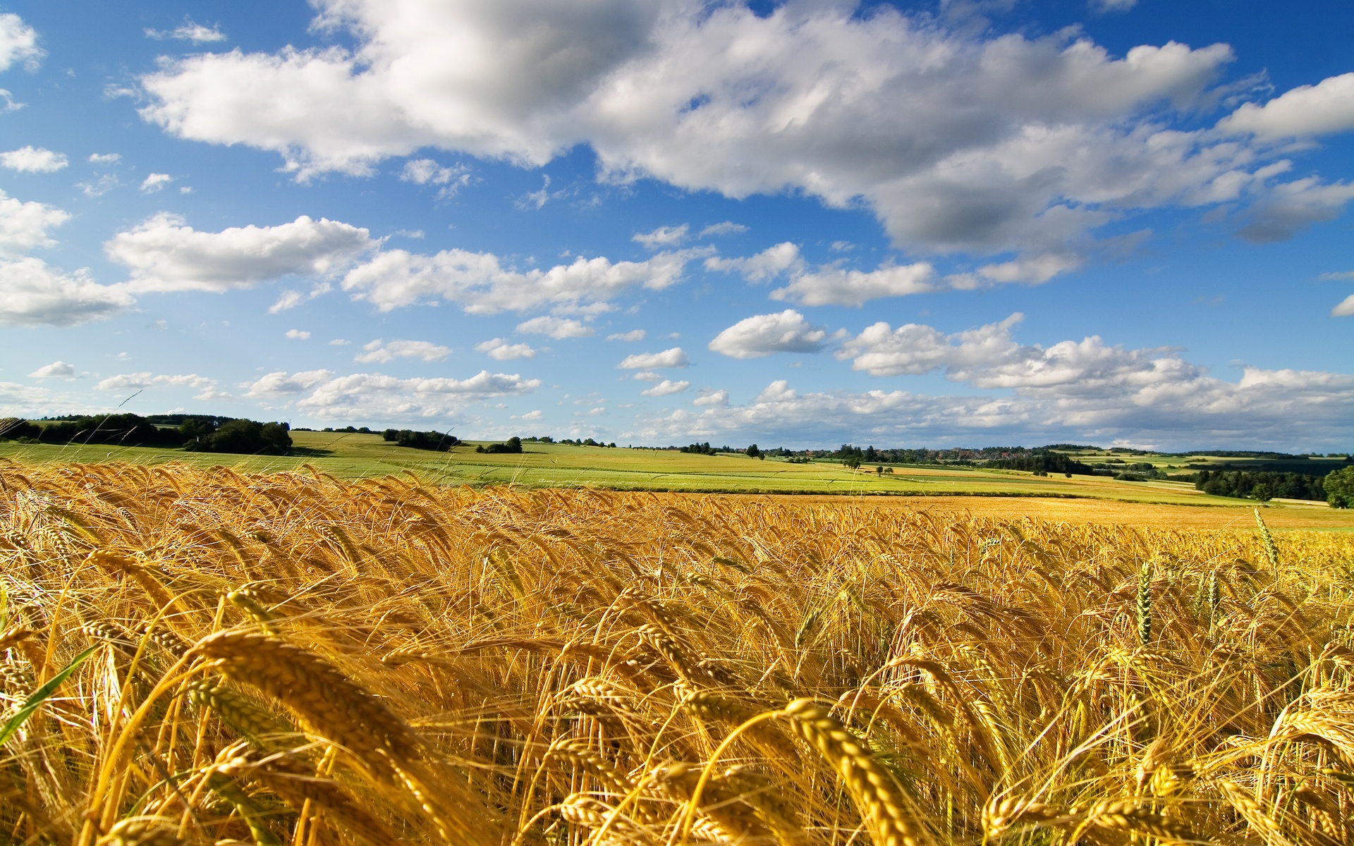 E se andassi a vivere in campagna? Quattro poderi all’asta