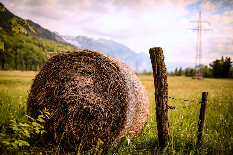 Campagna, triplicato il costo del concime