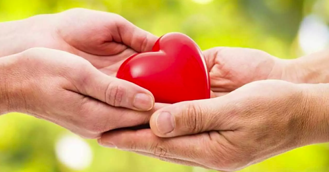 Donare organi e tessuti: anche a Cesenatico si può