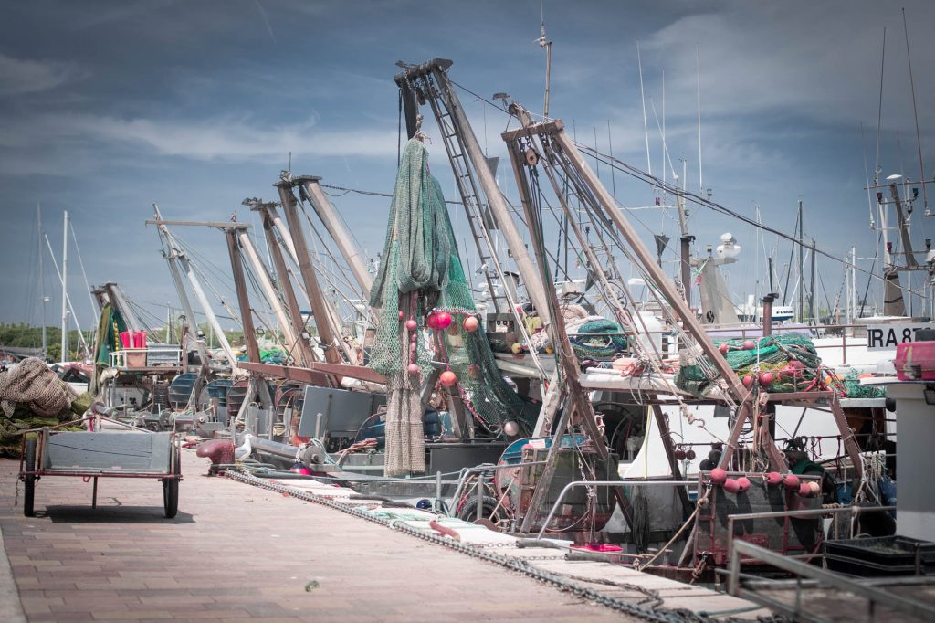 pesca porto cesenatico