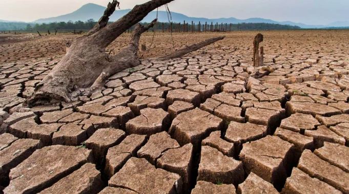 Il Po in secca mette in ginocchio l’agricoltura regionale