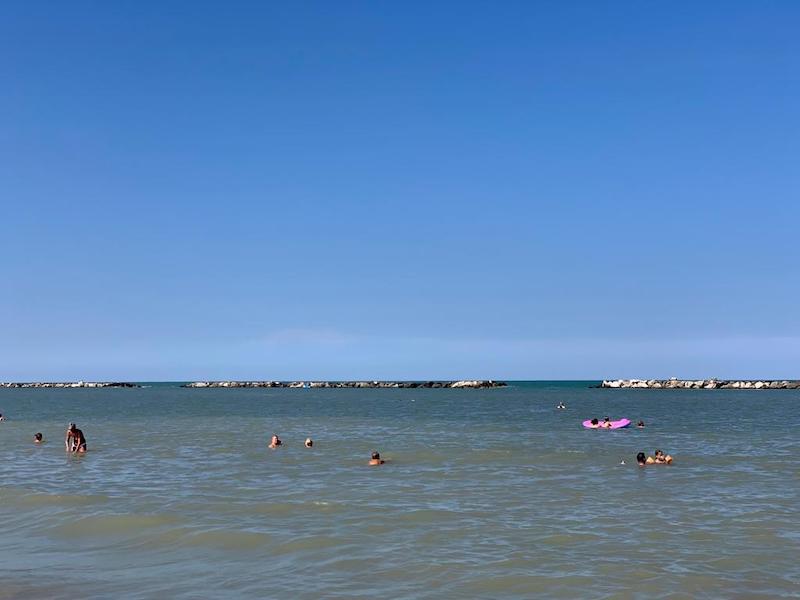 Lo spettacolo in mare: un delfino nuota vicino alla riva