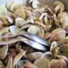 vongole