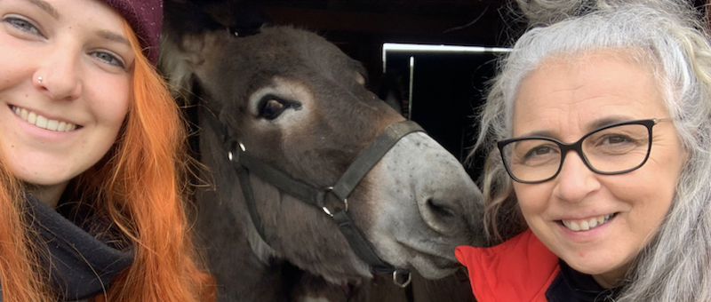 Oasi Desirée: dove l’amore per gli animali diventa stile di vita