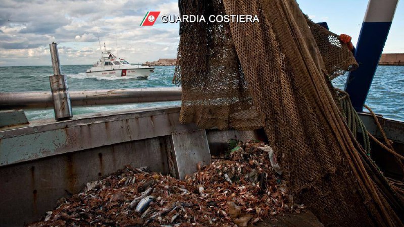 Guardia Costiera sequestra oltre 2 tonnellate di pesce