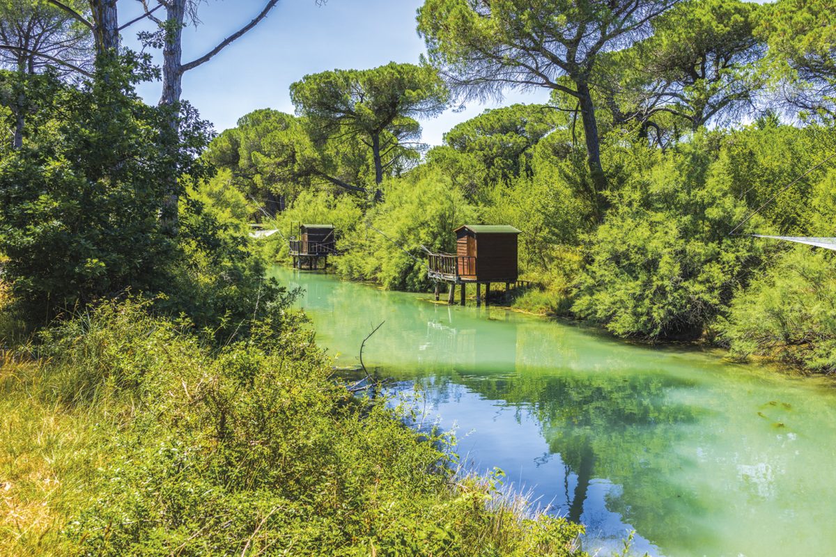 Abusano di 14enne in pineta a Milano Marittima