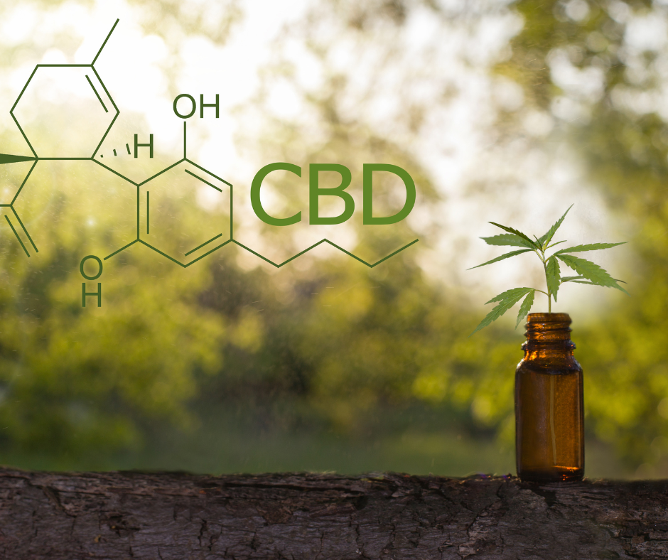 CBD legge in Italia