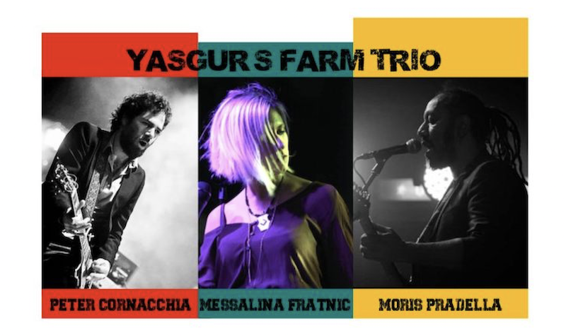 yasgur's farm trio