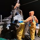 pesca tronco calimero