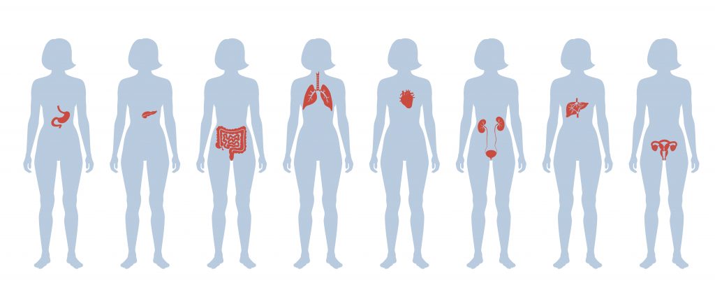 donazione organi