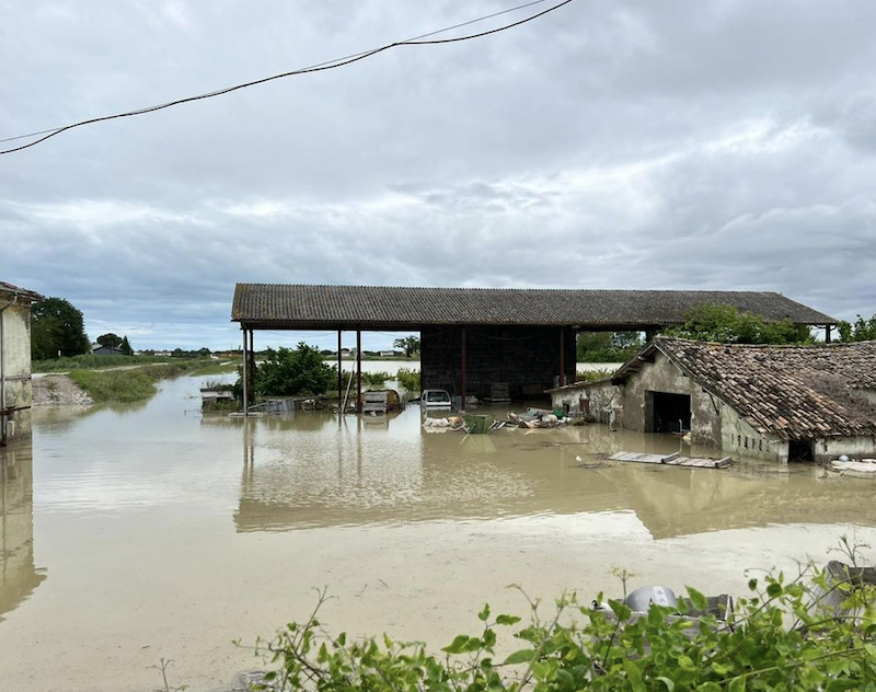 Alluvione, cadavere recuperato dopo una settimana a Lugo