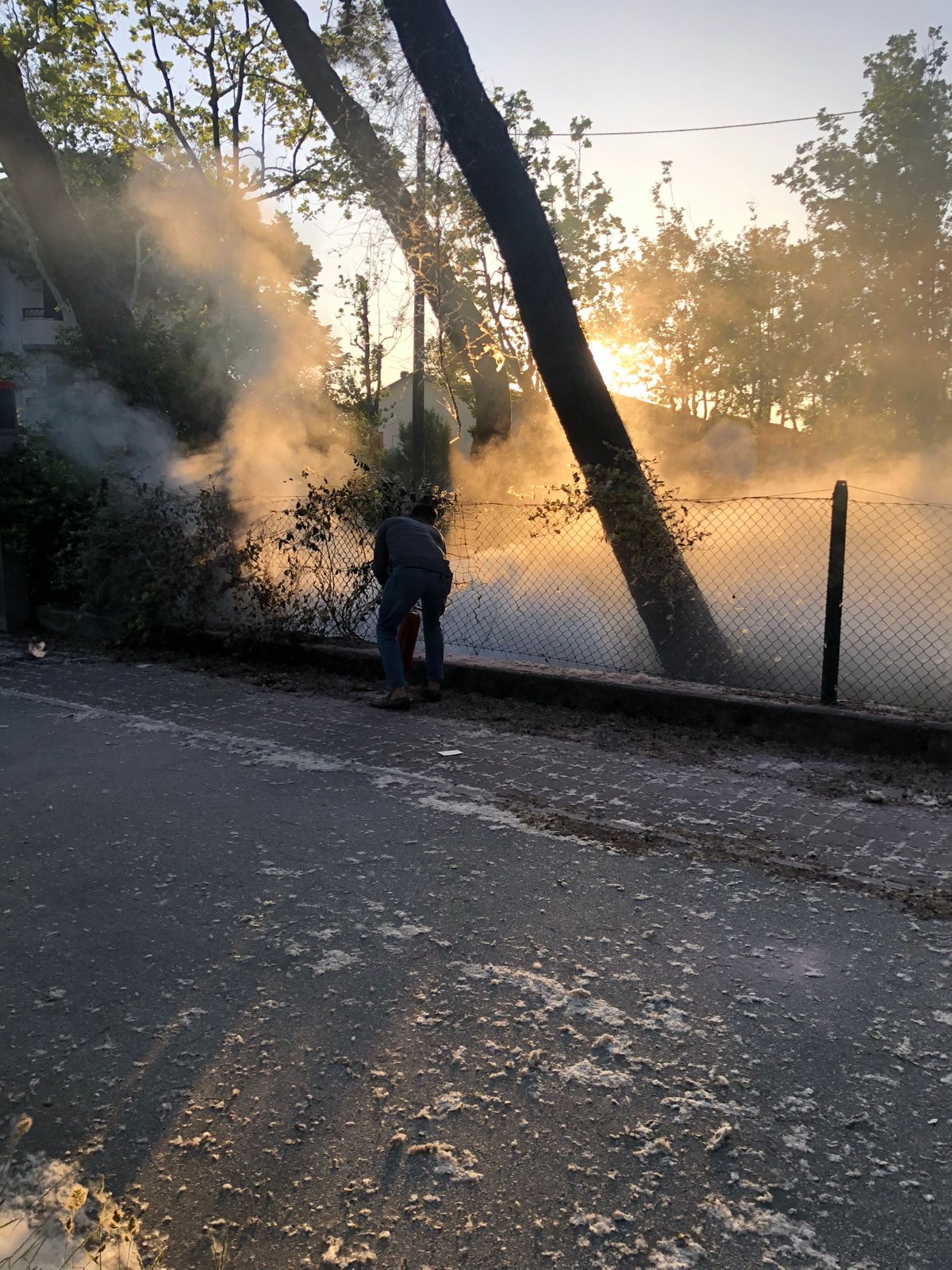 Incendio ieri sera in una colonia diroccata di Ponente