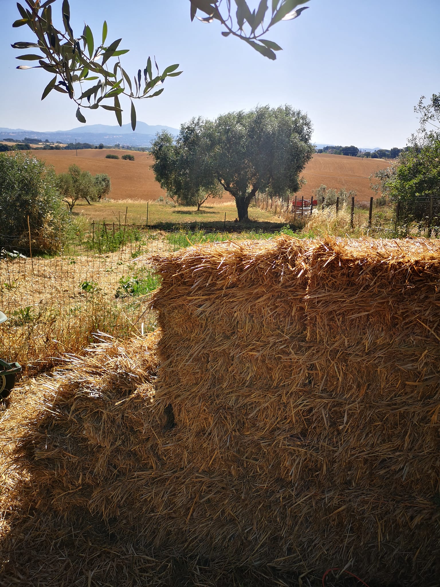 A Bagnarola si “mangia e balla sulla balla”