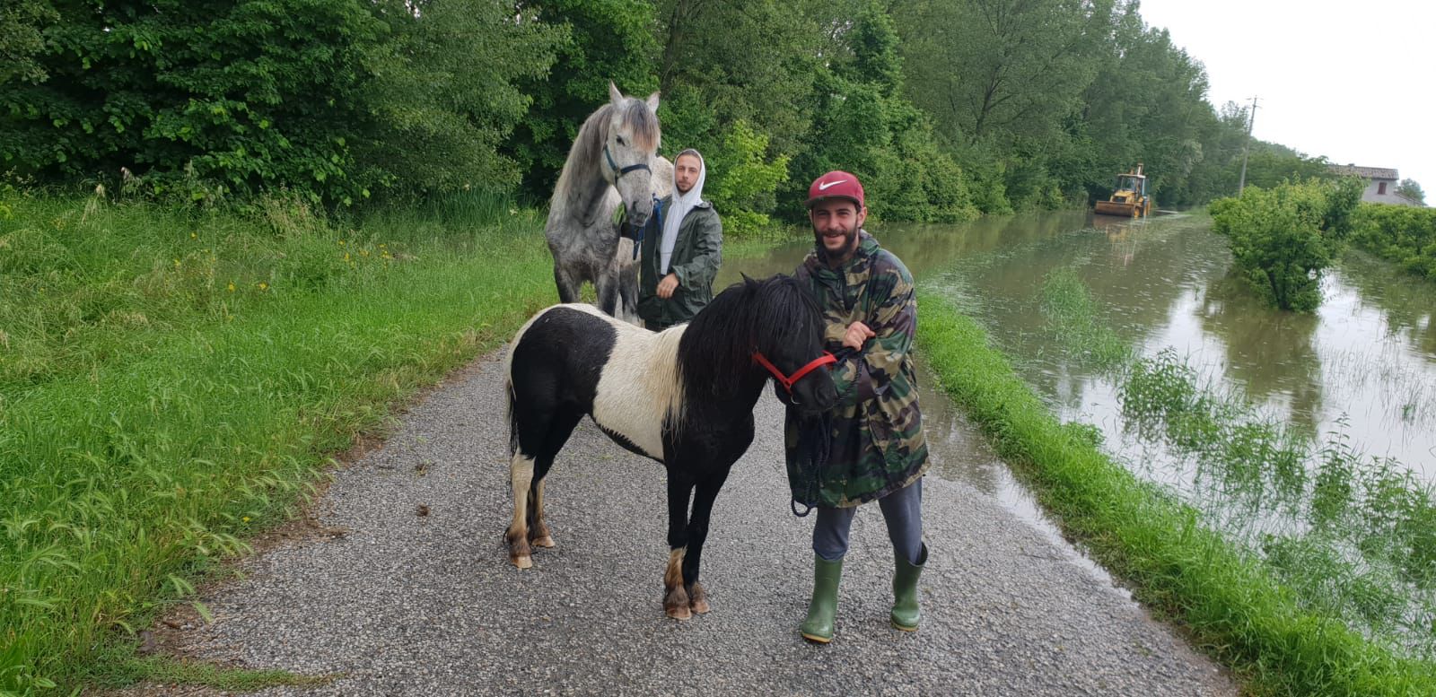 Alluvione: lezioni di equitazione gratuite di Horse Angels