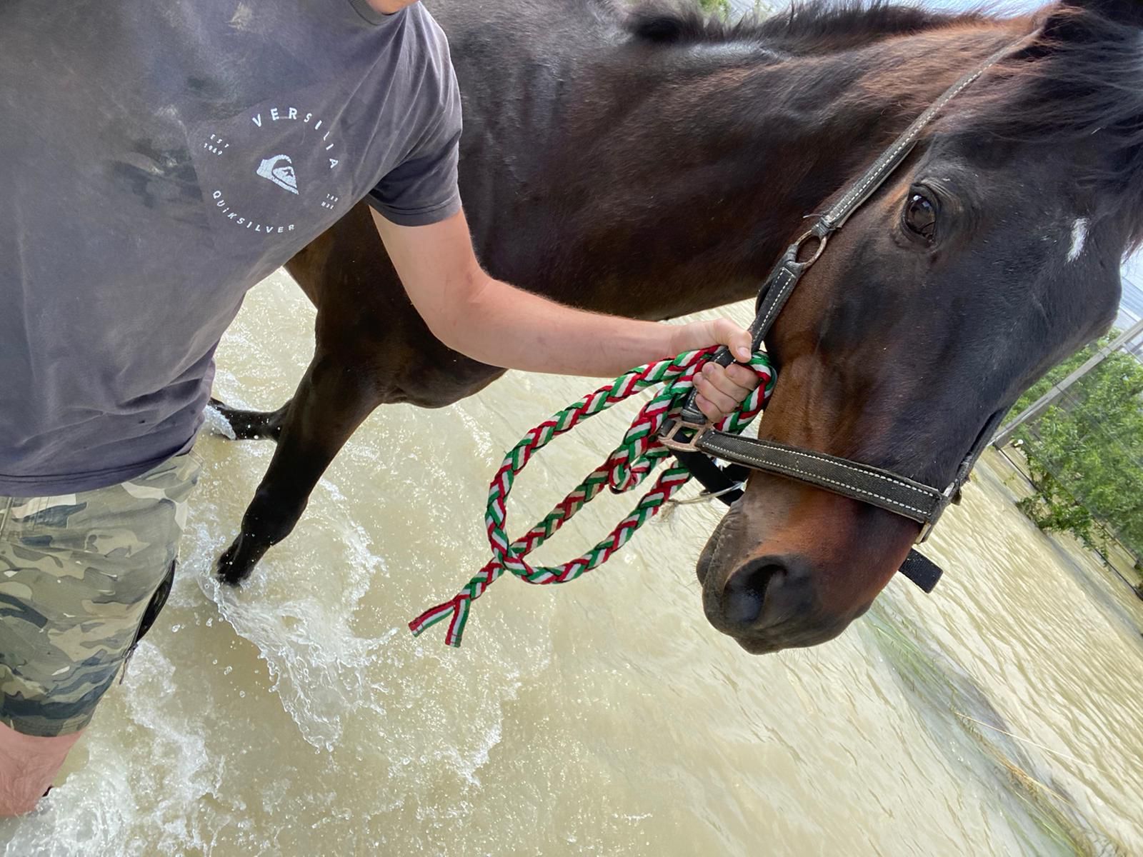 I “gladiatori” al servizio degli animali: più di cento salvati durante l’alluvione