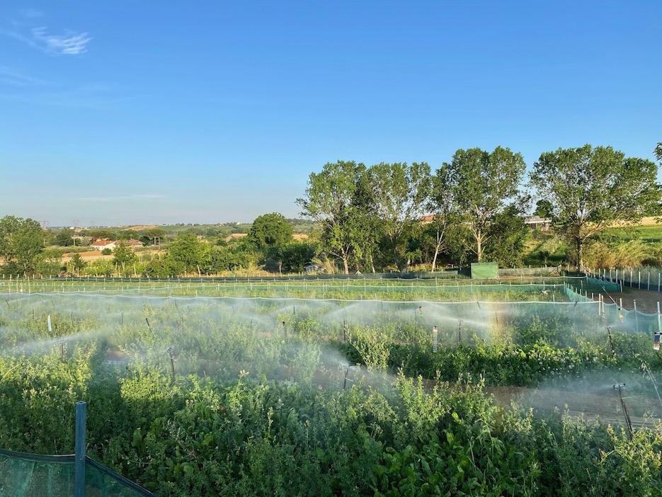 Demetra tra le migliori cinque aziende “green” emergenti della Regione