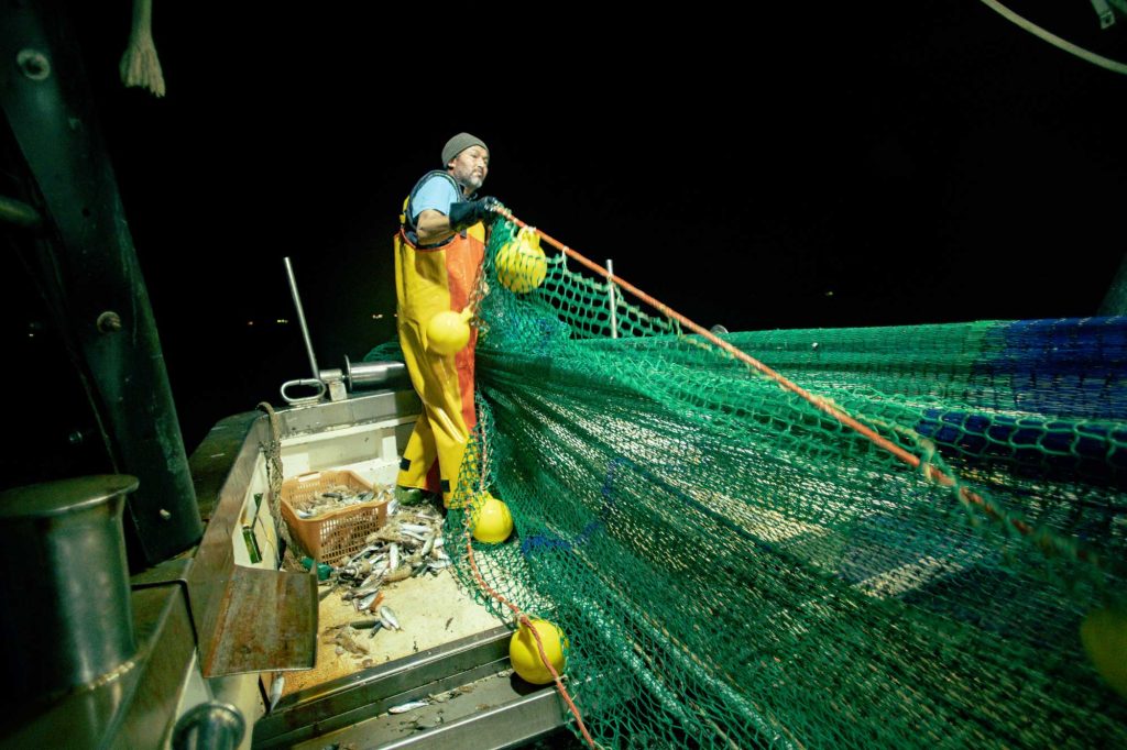 pesca