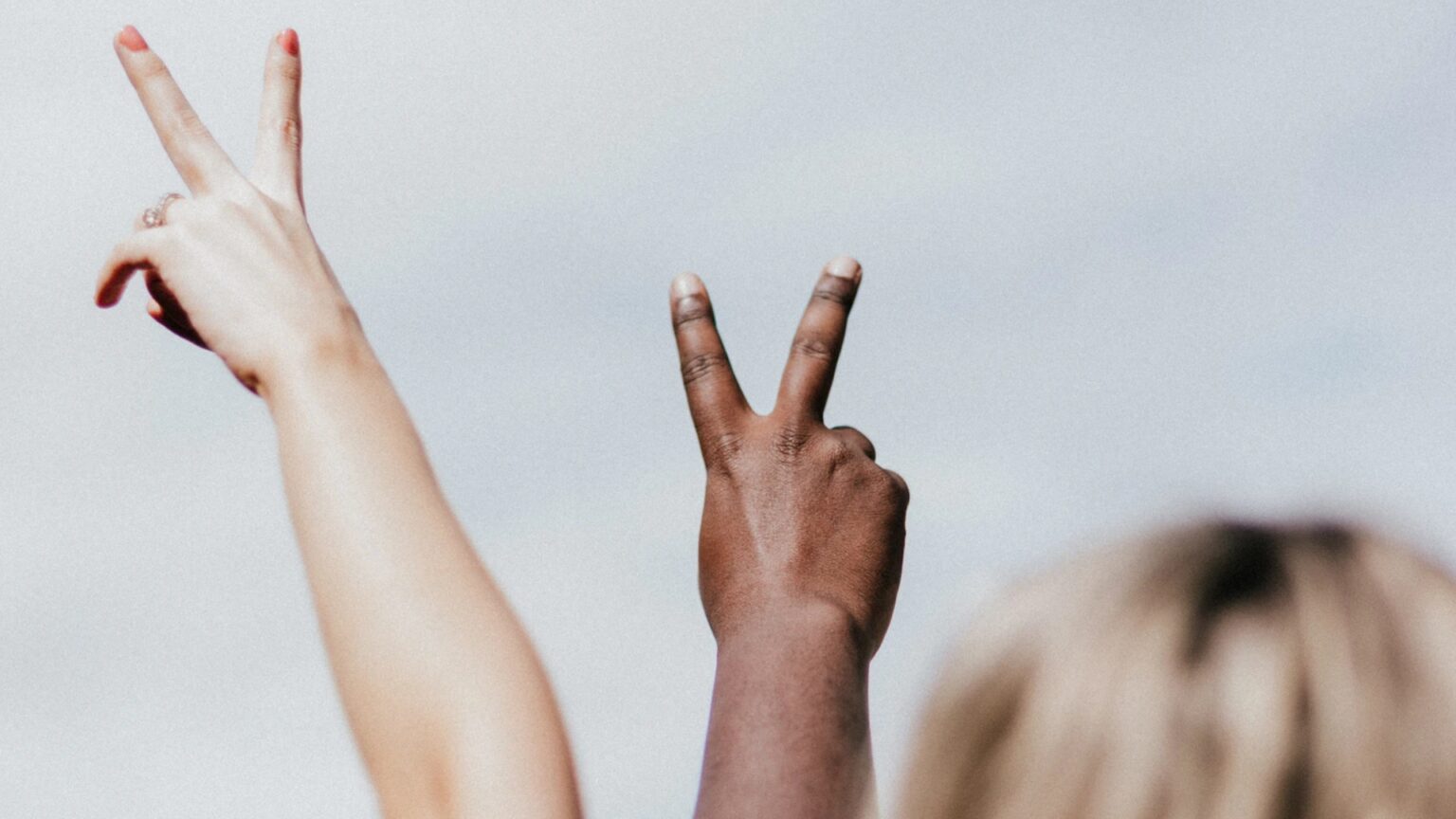 Il titolare straniero di una sartoria: “Contro di noi parole razziste”