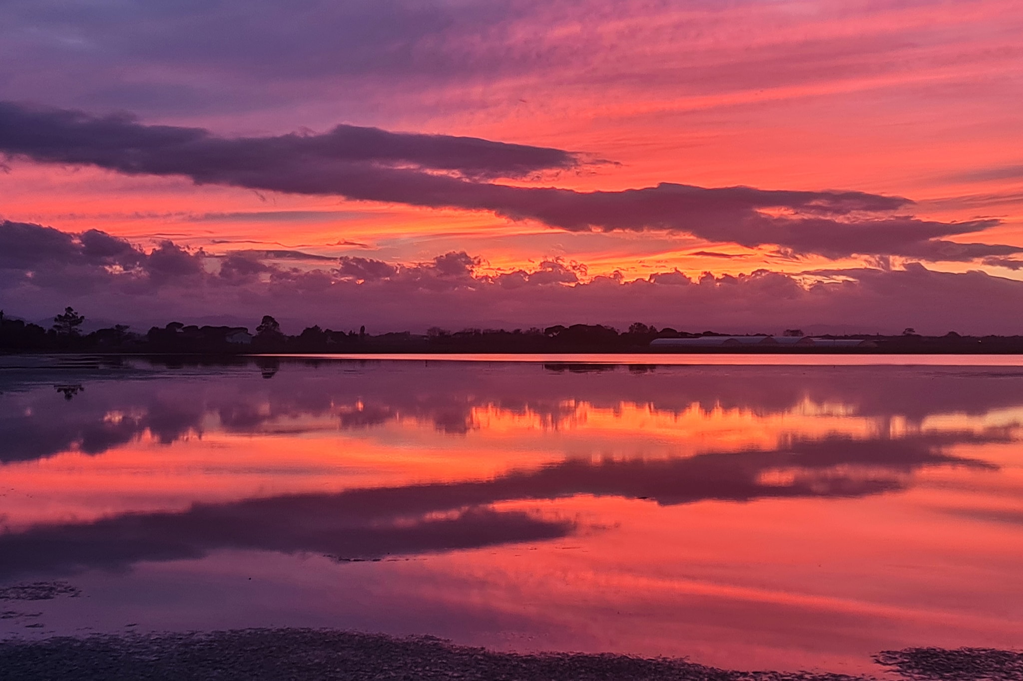 Le saline di Cervia candidate a Patrimonio mondiale dell’umanità Unesco