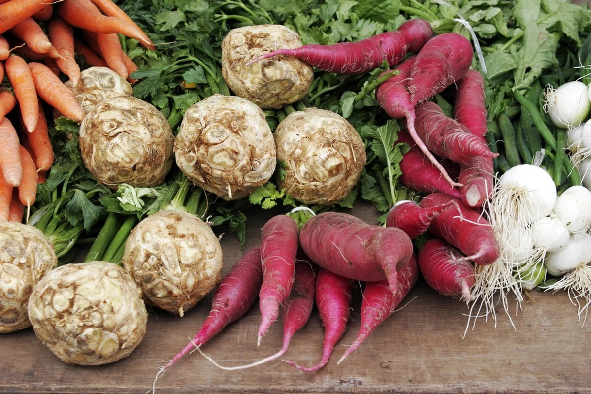 Corso di botanica, alla scoperta di erbe, tuberi e radici