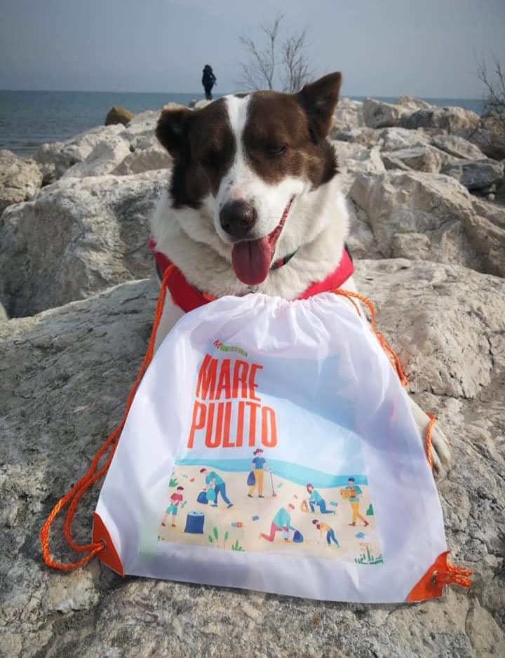 I volontari di Metodo71 ripuliscono la spiaggia di Tagliata dalla plastica