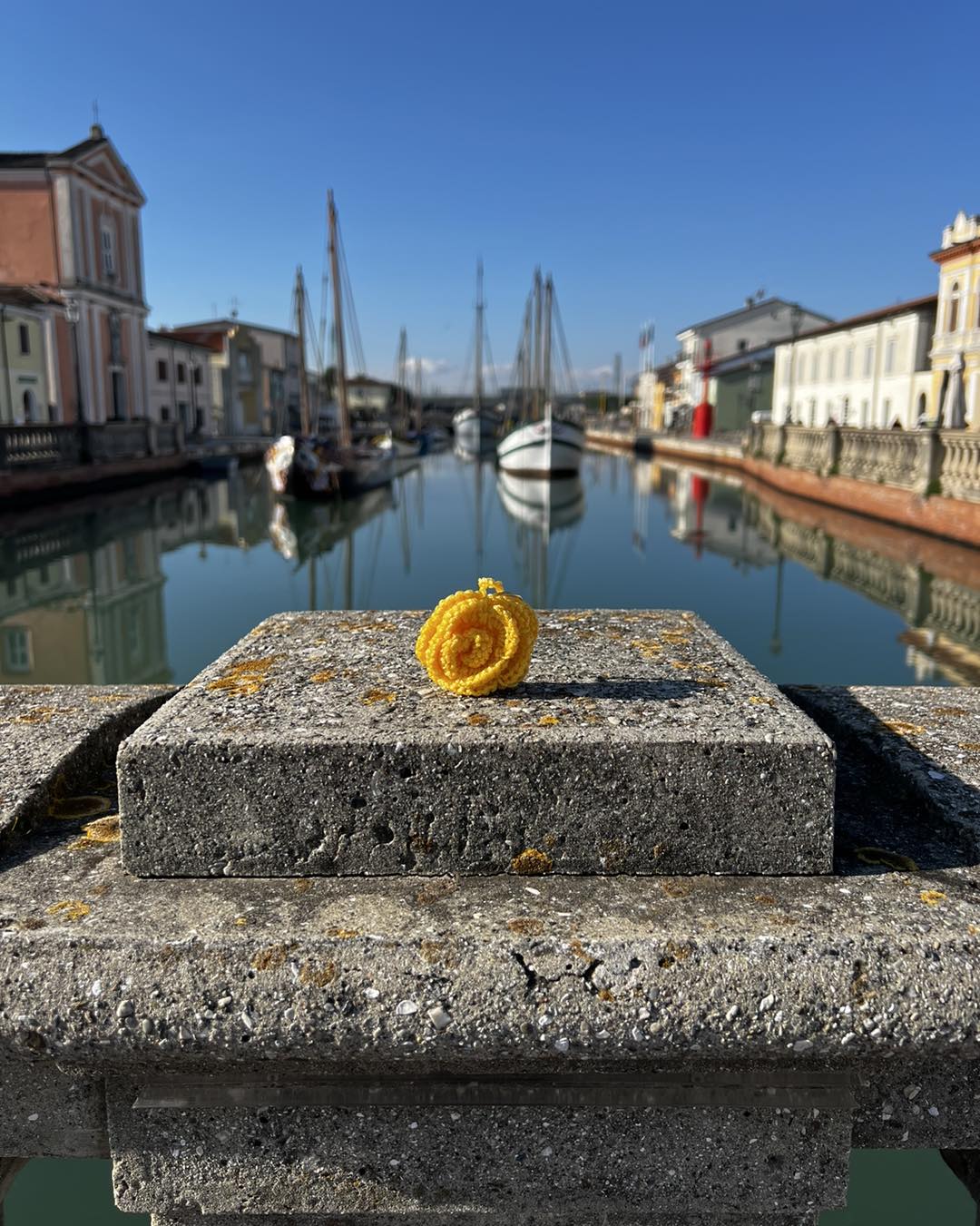 Mimosa in lana per le dipendenti del Comune di Cesenatico