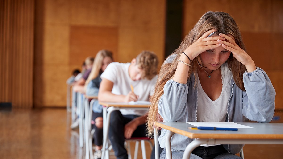 Notte prima degli esami per 1.100 studenti cesenati