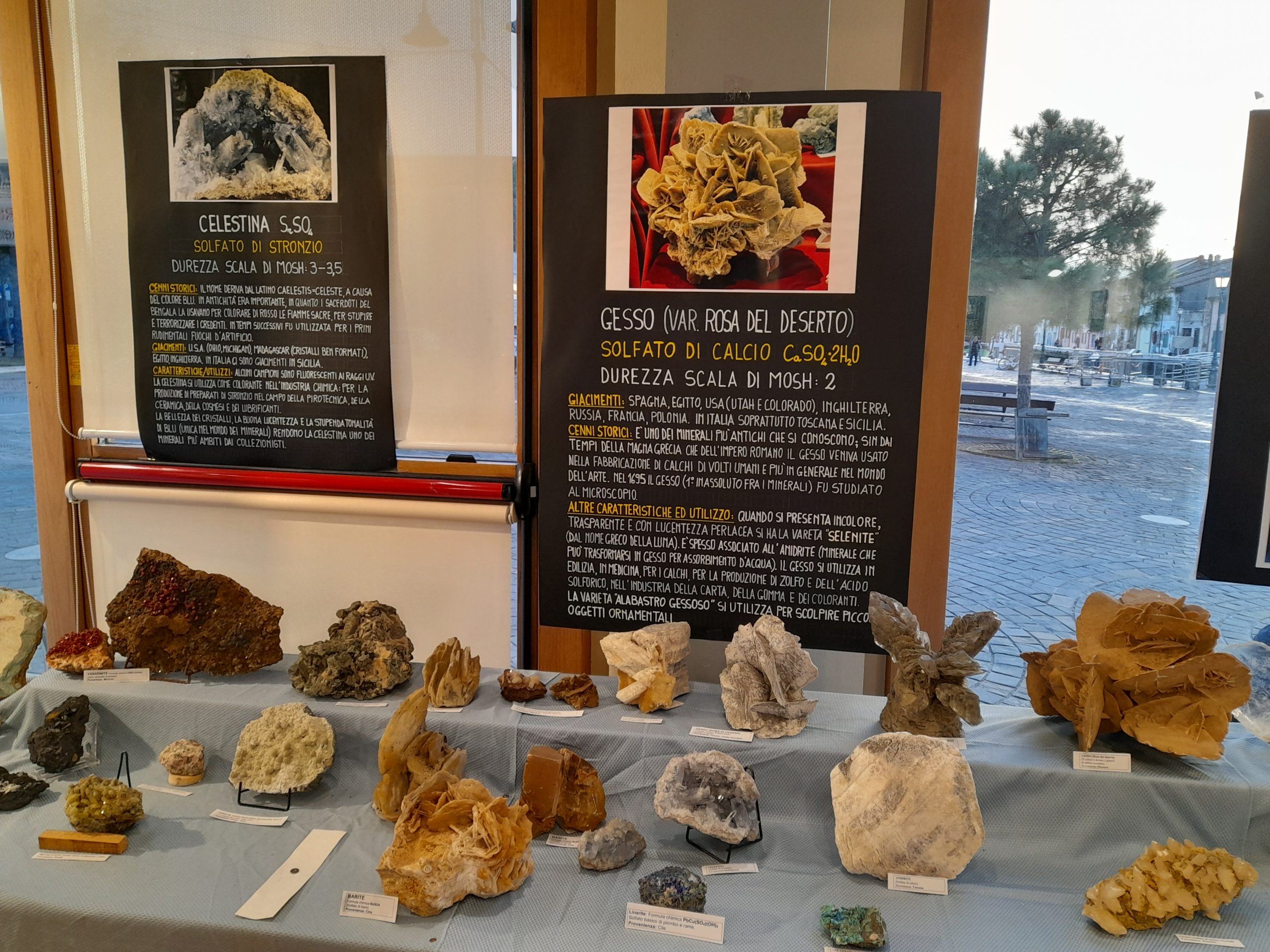Grande successo per la mostra “Il Mondo dei Cristalli”