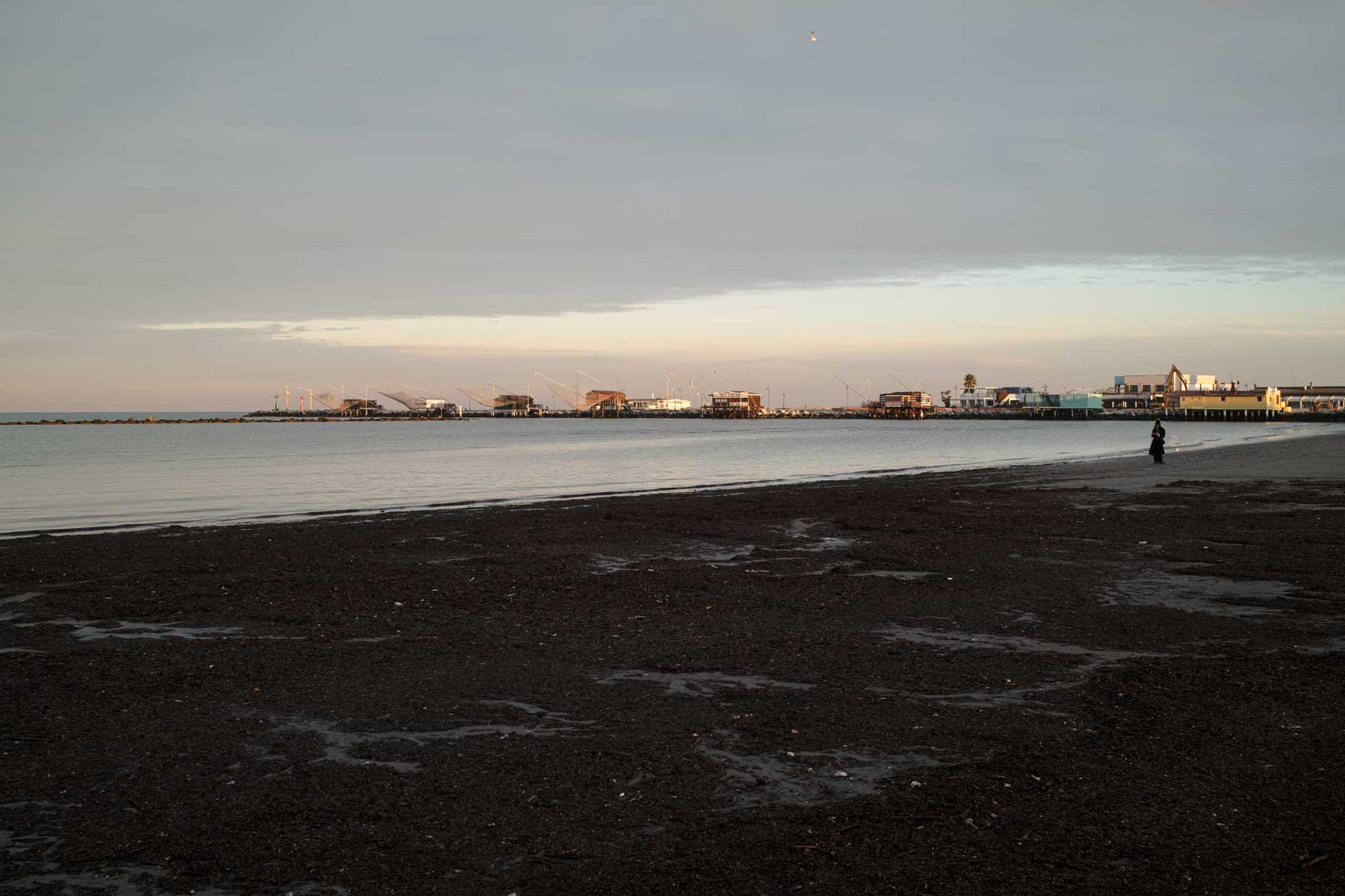 Tappeto scuro nella spiaggia di ponente