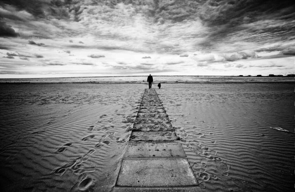 mare inverno cani
