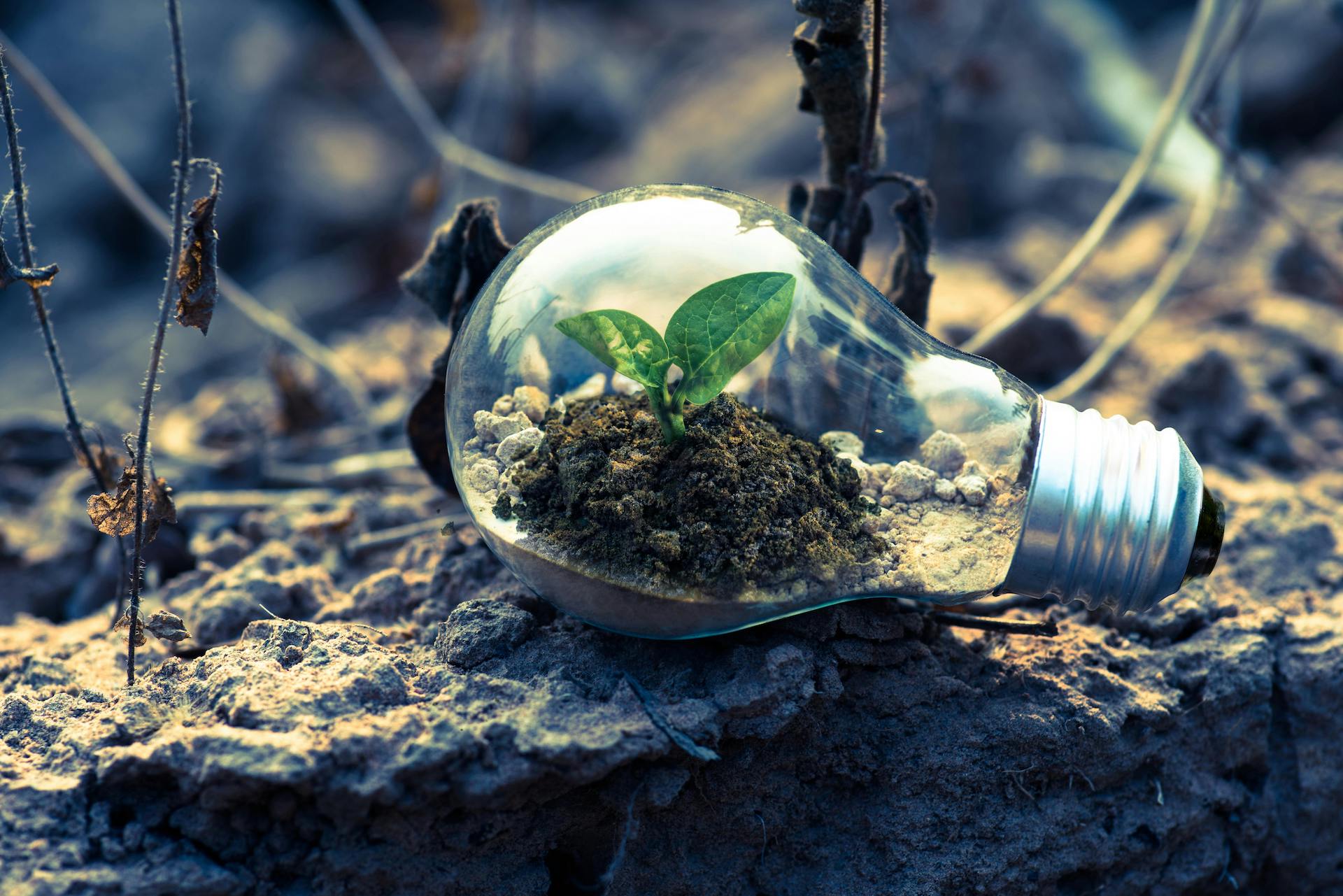 transizione energetica