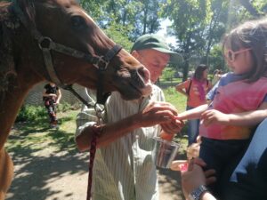 cavallo