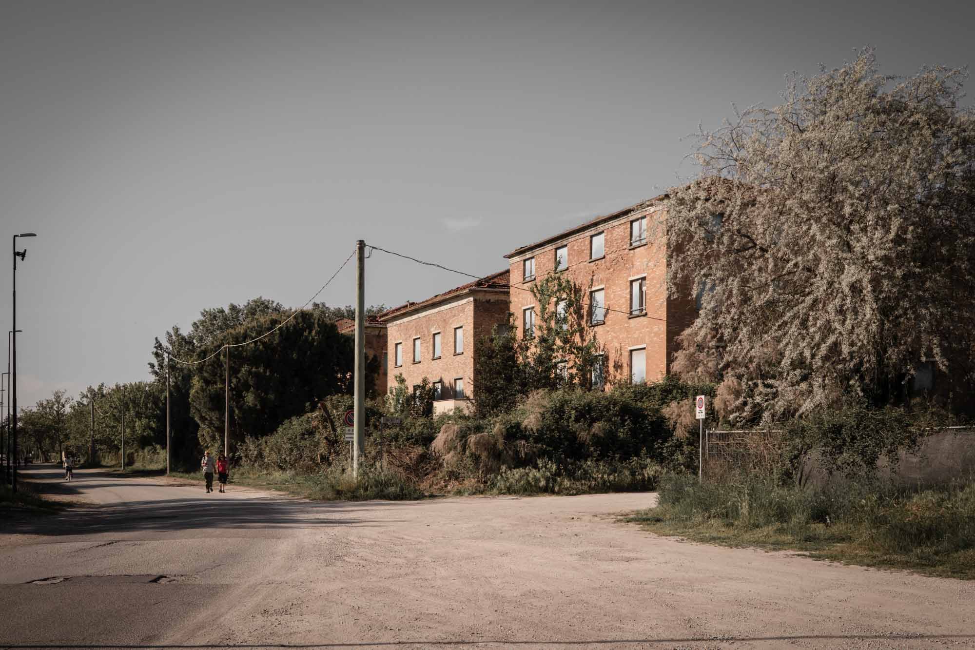 colonie ponente 2025