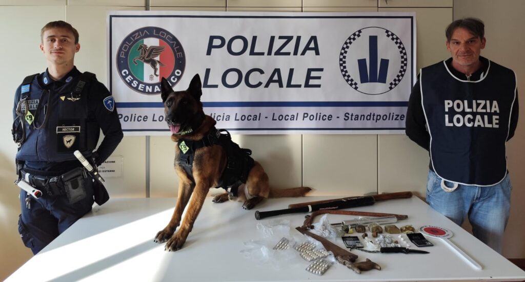 polizia locale pusher yuma