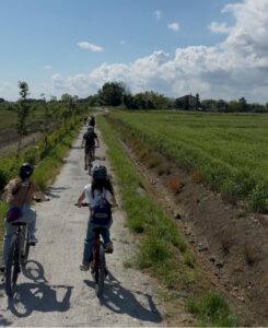 E bike