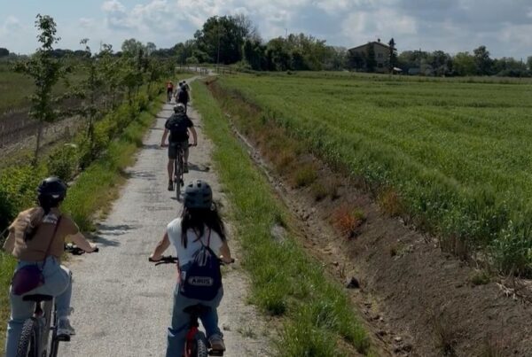 E bike