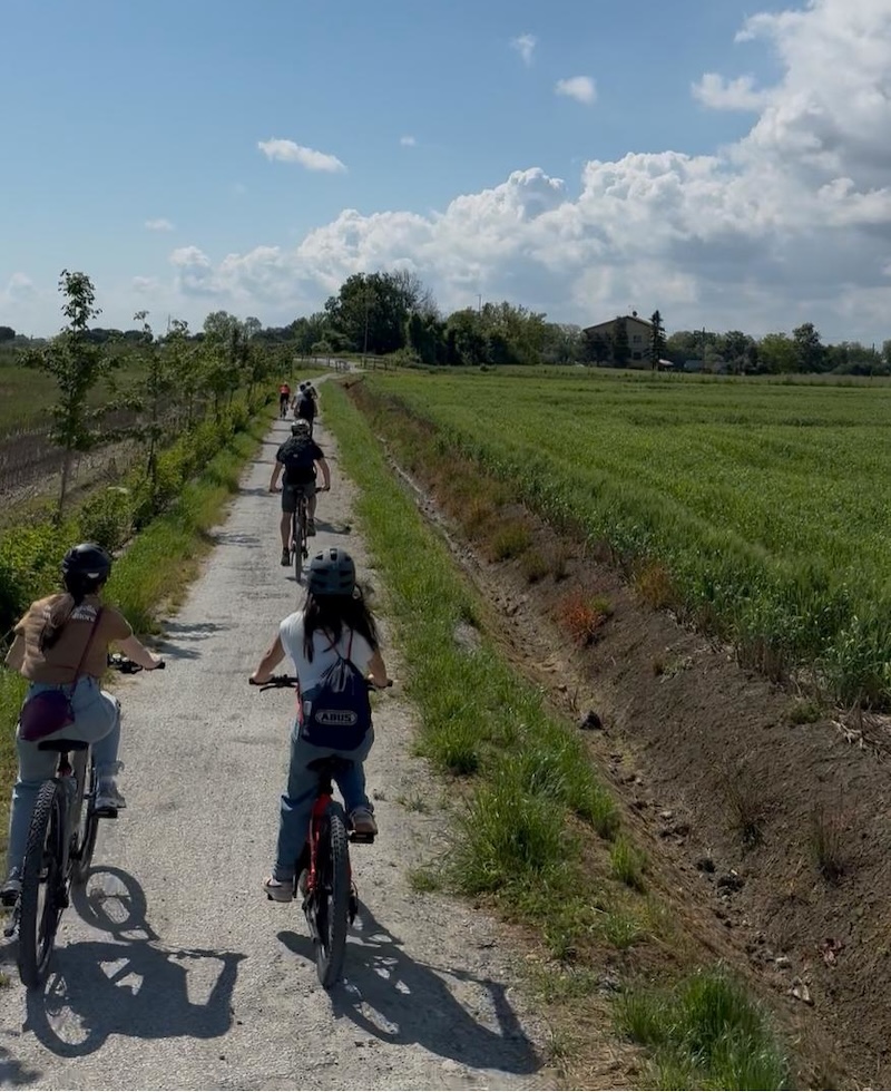 E bike