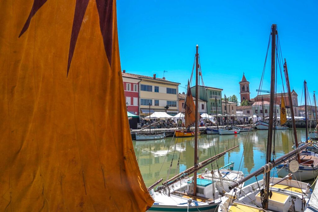 Azzurro come il pesce 2025