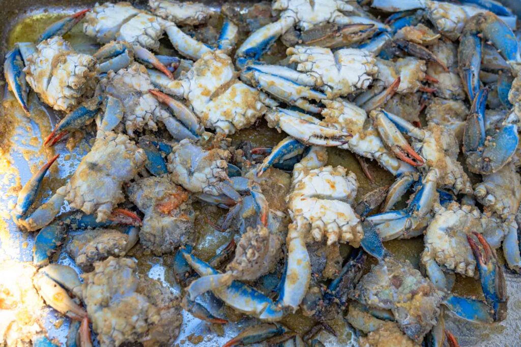 Azzurro come il pesce 2025