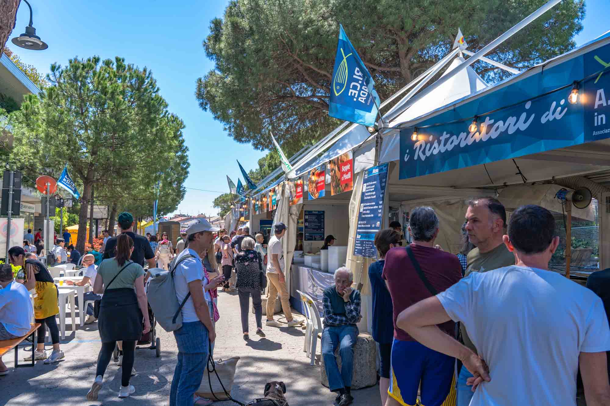 “Azzurro come il pesce”: boom di presenze