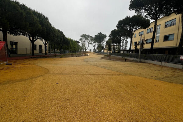 stradelli