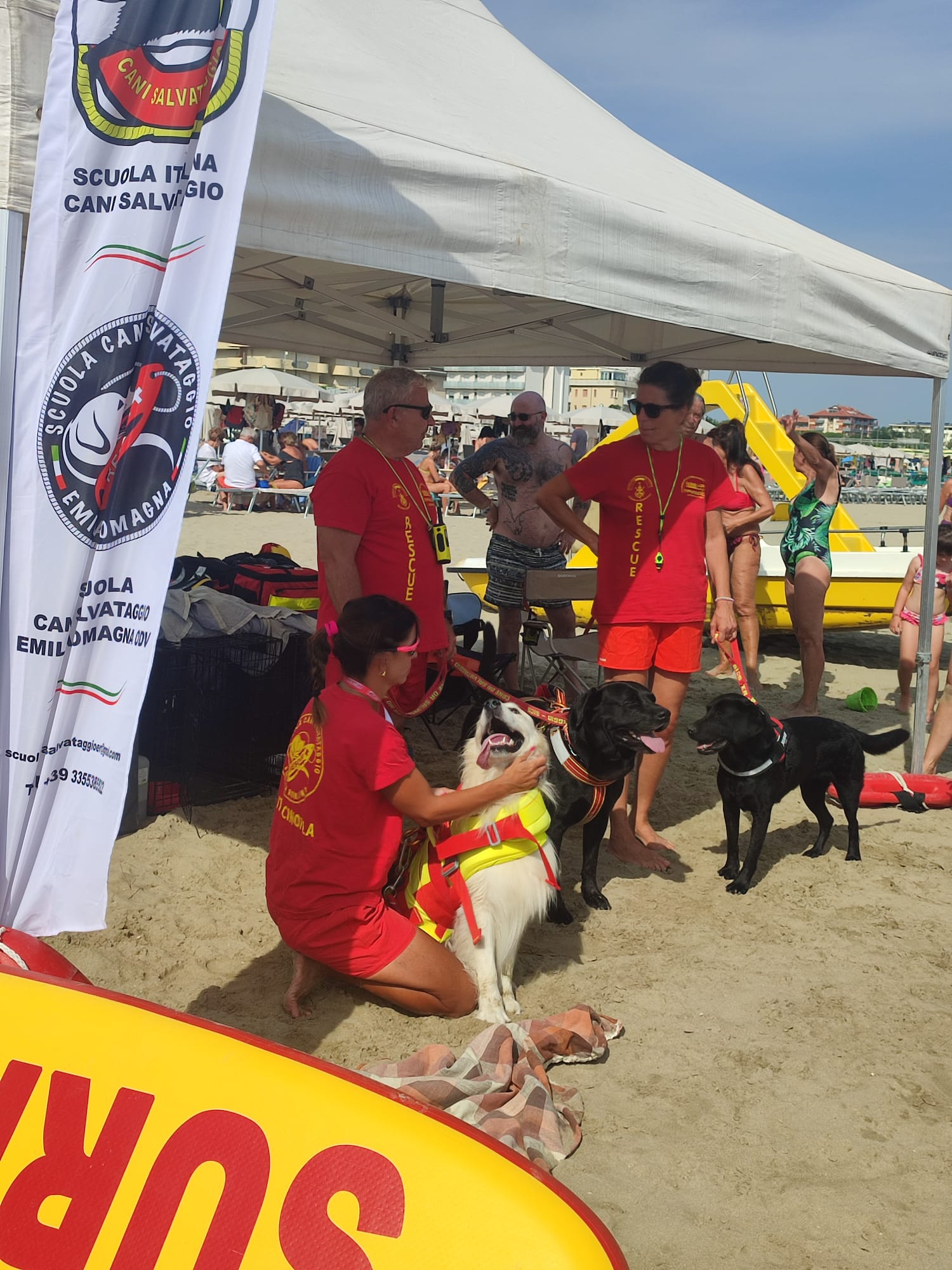 cani spiaggia salvataggio