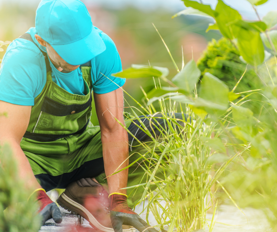lavoro stagionale